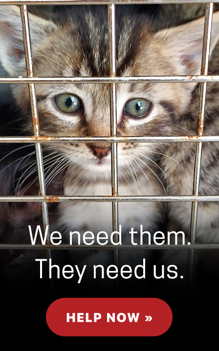 We need them. They need us.