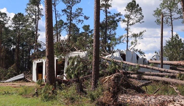 Damage in Georgia after Hurricane Helene