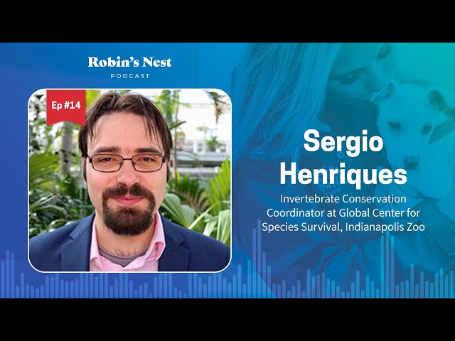 Robin's Nest Podcast, Ep. 14: Sergio Henriques, Invertebrate Conservation Coordinator at the GCSS