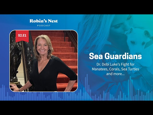 Sea Guardians: Dr. Debi Luke’s Fight for Manatees, Corals, Sea Turtles and more